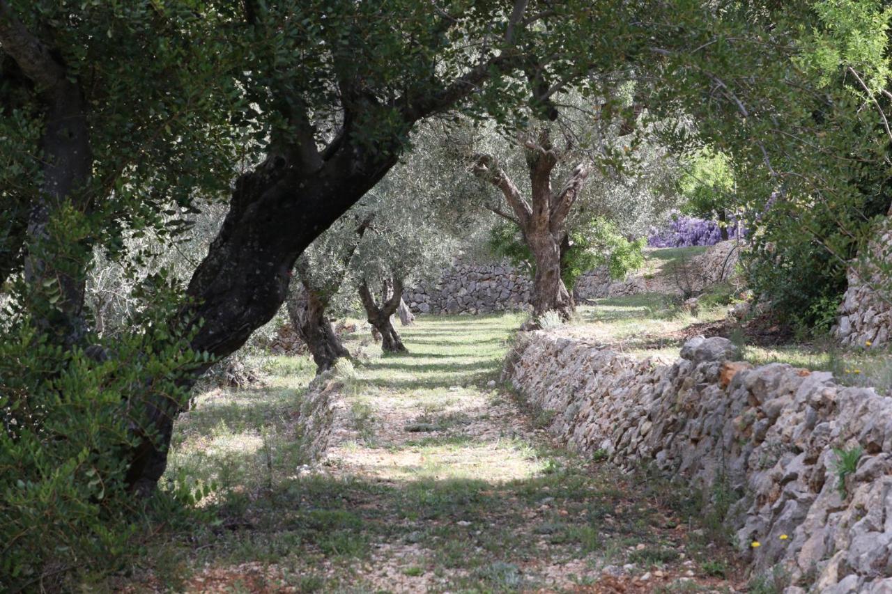 Villa Foia Vella - Adults Only Benigembla Luaran gambar