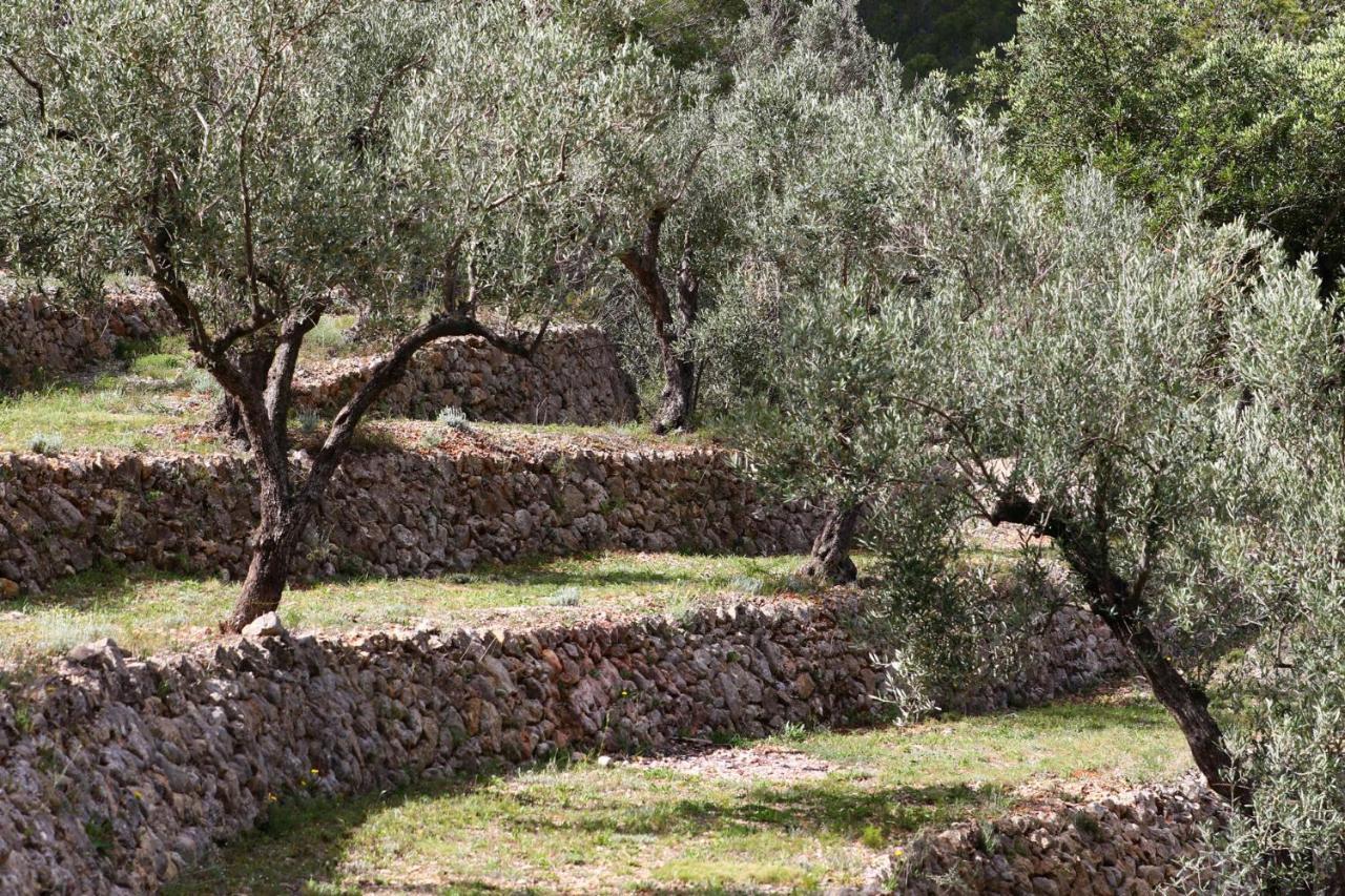 Villa Foia Vella - Adults Only Benigembla Luaran gambar